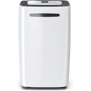 20L/Day Compressor Dehumidifier with Continuous Drainage